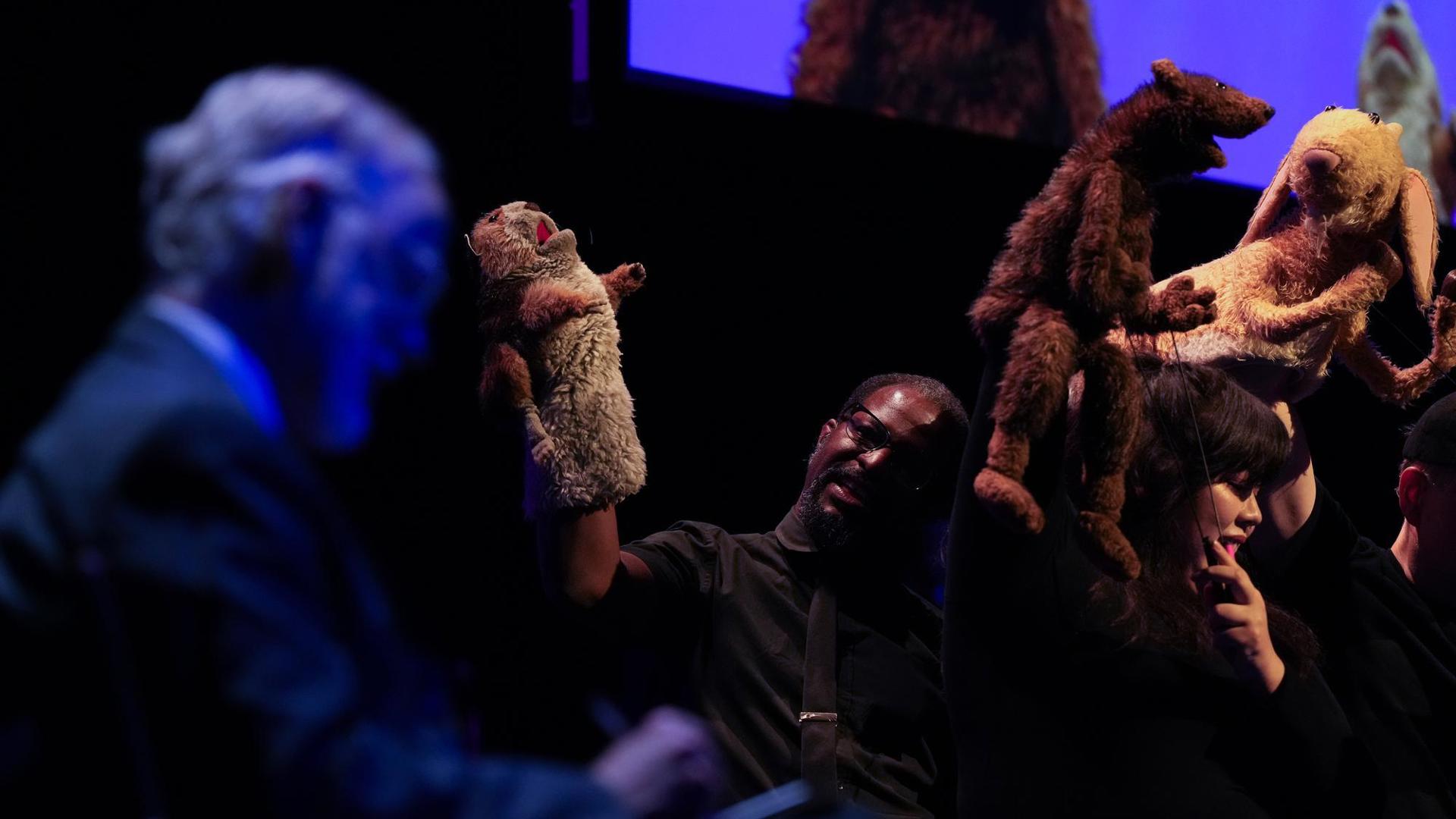 behind the scenes during puppet up